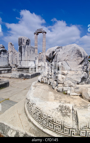 Didyma, un antico santuario del Mar Ionio, nei moderni Didim, Turchia, contenente il Tempio di Apollo, il Didymaion. Foto Stock