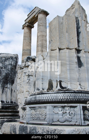 Didyma, un antico santuario del Mar Ionio, nei moderni Didim, Turchia, contenente il Tempio di Apollo, il Didymaion. Foto Stock