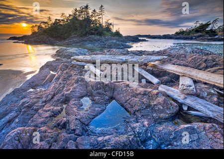 Driftwood disseminata sperone roccioso lungo South Beach Foto Stock