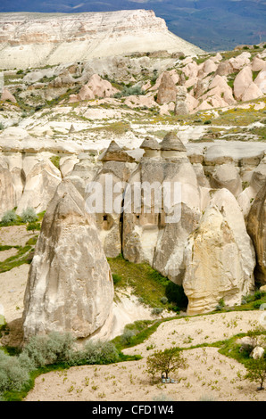 Hoodoos nel paesaggio unico vicino a Goreme, Cappadocia, anche Capadocia, Anatolia centrale, in gran parte nella provincia di Nevşehir, Turchia Foto Stock