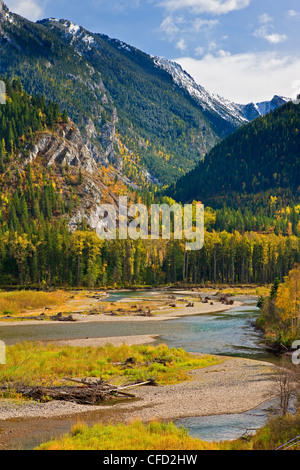 Elk River e il Monte Broadwood conservazione del patrimonio Area, East Kootenay, British Columbia, Canada. Foto Stock