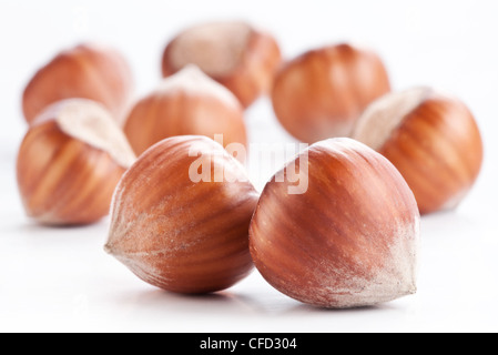 Noci nocciole isolati su sfondo bianco. Foto Stock