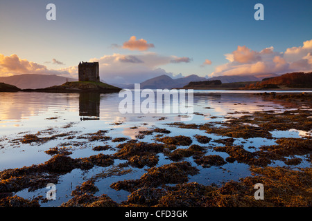 Silhouette di Castle Stalker, una casa torre,tenere, Loch latch, Port Appin, Argyll, Highlands, Scotland, Regno Unito Foto Stock