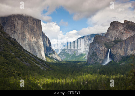 Il parco nazionale di Yosemite Valley con El Capitan e le cascate Bridalveil sulla destra, del Parco Nazionale Yosemite, Sierra Nevada, in California, Stati Uniti d'America