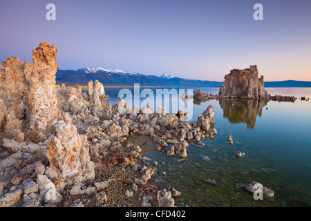 Il tufo guglie e formazioni di torre di carbonato di calcio, Inyo National Forest Scenic Area, California, Stati Uniti d'America Foto Stock