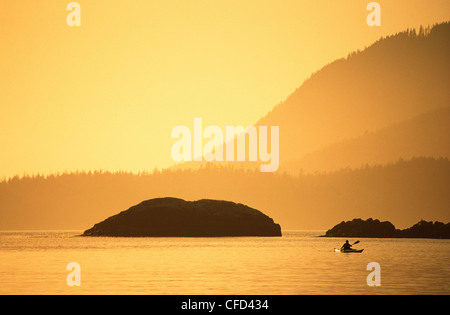 Kayaker paddling durante il tramonto, Pacific Rim, Clayoquot Sound, Isola di Vancouver, British Columbia, Canada. Foto Stock