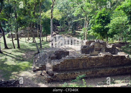 Maya sito archeologico, Copan rovine, Sito Patrimonio Mondiale dell'UNESCO, Honduras, America Centrale Foto Stock