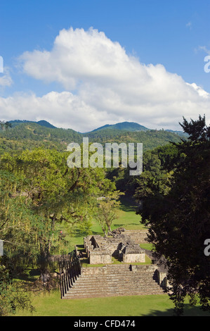 Maya sito archeologico, Copan rovine, Sito Patrimonio Mondiale dell'UNESCO, Honduras, America Centrale Foto Stock