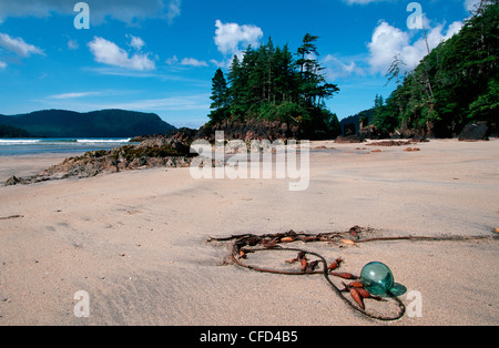 San Giuseppe Bay, Cape Scott Parco Provinciale - giapponese pesci di vetro float, Isola di Vancouver, British Columbia, Canada. Foto Stock