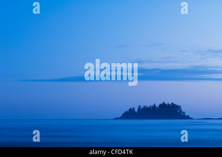 Nebbia avvolta isolotto, Mackenzie Beach a Tofino, Isola di Vancouver, British Columbia, Canada. Foto Stock