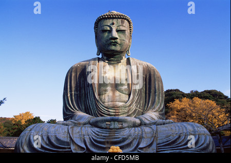 Giappone, Tokyo Kamakura, Daibutsu, il grande Buddha con foglie di autunno Foto Stock