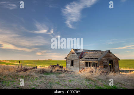 Vecchia casa abbandonata e macchine agricole su Colorado prairie con verdi campi in background Foto Stock