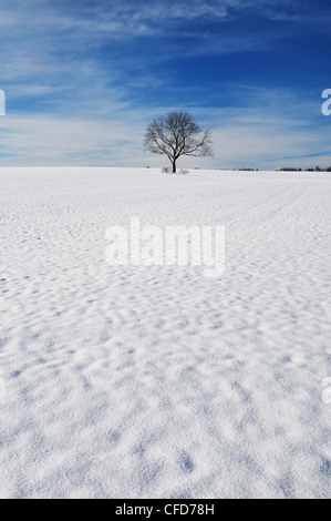 Paesaggio invernale, vicino Villingen-Schwenningen,,Forest-Baar (Schwarzwald-Baar) distretto, Baden-Württemberg, Germania, Europa Foto Stock