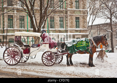 Driver con cavallo e carrozza, Old Quebec City, Quebec, Canada. Foto Stock