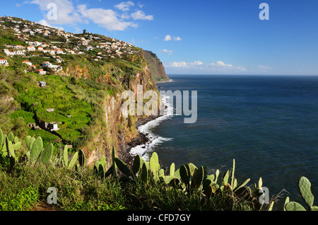 Ribeira Brava, Madeira, Portogallo, Oceano Atlantico, Europa Foto Stock