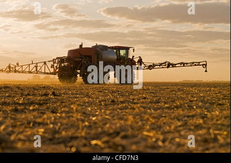 Una clearance elevata spruzzatore applica il fertilizzante liquido su un nuovo campo seminato, nei pressi di Dugald, Manitoba, Canada Foto Stock