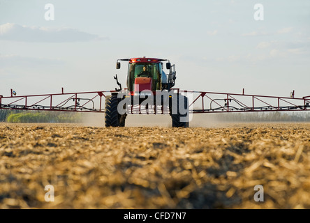 Una clearance elevata spruzzatore applica il fertilizzante liquido su un nuovo campo seminato, nei pressi di Dugald, Manitoba, Canada Foto Stock