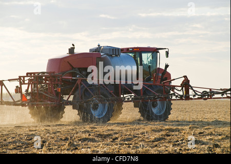 Una clearance elevata spruzzatore applica il fertilizzante liquido su un nuovo campo seminato, nei pressi di Dugald, Manitoba, Canada Foto Stock