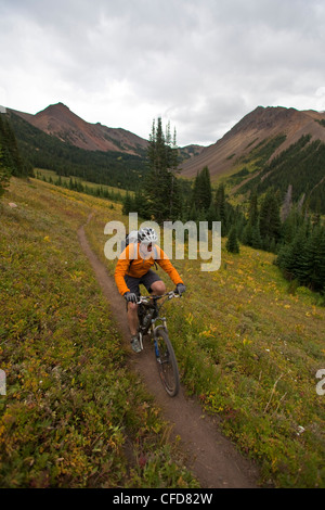 Metà maschio invecchiato mountain biker rides perfetta Foto Stock