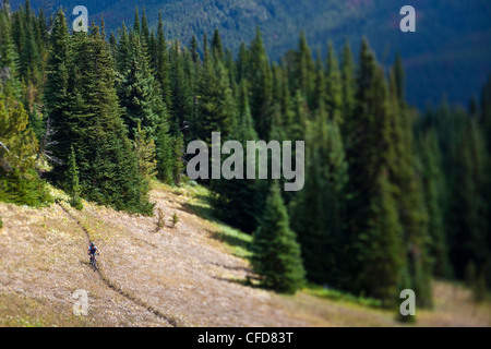 Metà maschio invecchiato mountain biker rides perfetta Foto Stock