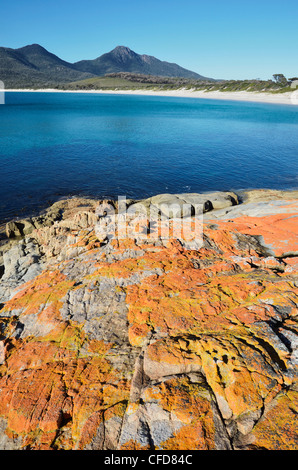 Lichene Rosso sulle rocce, Wineglass Bay, Parco Nazionale di Freycinet, Penisola di Freycinet, Tasmania, Australia Pacific Foto Stock