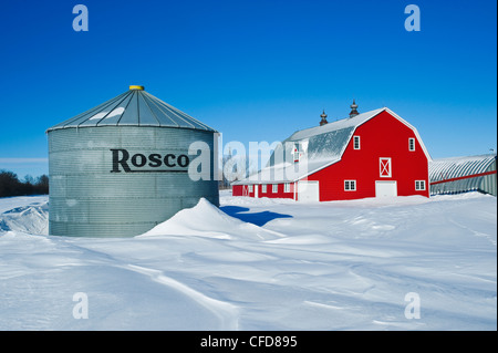 Granaio rosso e bidoni di grano vicino a Torquay Saskatchewan, Canada Foto Stock