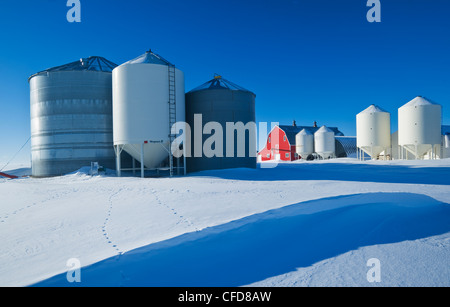 Granaio rosso e bidoni di grano vicino a Torquay Saskatchewan, Canada Foto Stock