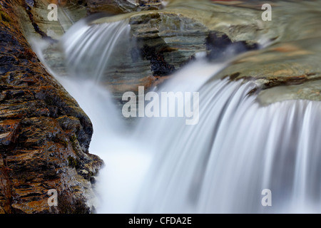 Baring Creek dettaglio in cascata, il Parco Nazionale di Glacier, Montana, Stati Uniti d'America, Foto Stock