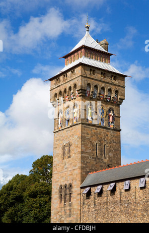 Torre dell orologio nel Castello di Cardiff, Cardiff City, Wales, Regno Unito, Europa Foto Stock