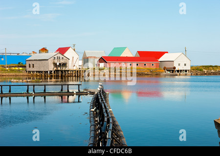 Castalia, Grand Manan Island, Baia di Fundy, New Brunswick, Canada Foto Stock