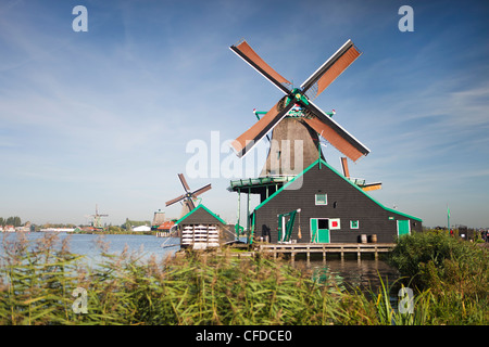 Mulini a vento di Zaanse Schans, Zaandam, Noord Holland, Olanda, Europa Foto Stock