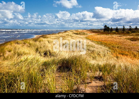 Dune di sabbia che si affaccia il Northumberland Strait, Cap Pele, New Brunswick, Canada Foto Stock