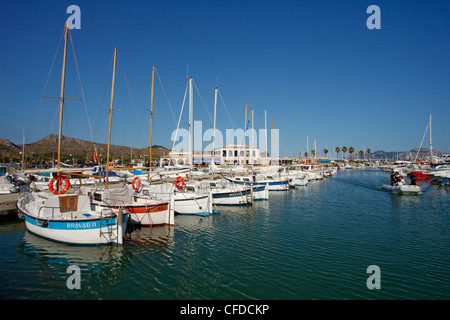 Porto, porto, Port de Pollenca, Pollenca, Maiorca, isole Baleari, Spagna, Europa Foto Stock