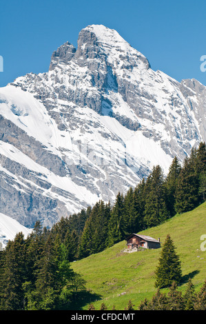 Massiccio Jungfrau e Swiss Chalet vicino Murren, regione di Jungfrau, Svizzera, Europa Foto Stock