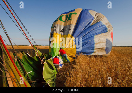 Mongolfiera giacente su un campo, Mallorca Ballons, pianura Es Pla, Maiorca, isole Baleari, Spagna, Europa Foto Stock