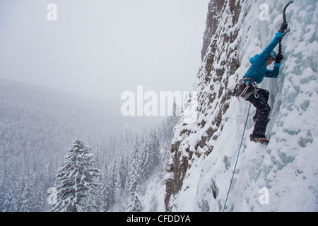 Un forte scalatore femmina salite di ghiaccio Moonlight WI4, anche Thomas Creek, Kananaskis, Alberta, Canada Foto Stock