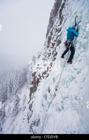 Un forte scalatore femmina salite di ghiaccio Moonlight WI4, anche Thomas Creek, Kananaskis, Alberta, Canada Foto Stock