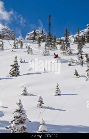 Un uomo telemark nel backcountry delle Canadian Rockies, Icefields Parkway, il Parco Nazionale di Banff, Alberta, Canada Foto Stock