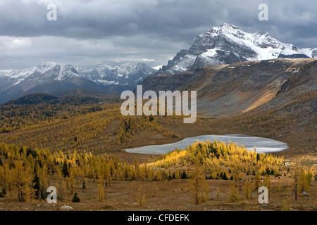 Sentiero per Titcomb bacino, Wind River Range, Wyoming, Stati Uniti d'America Foto Stock