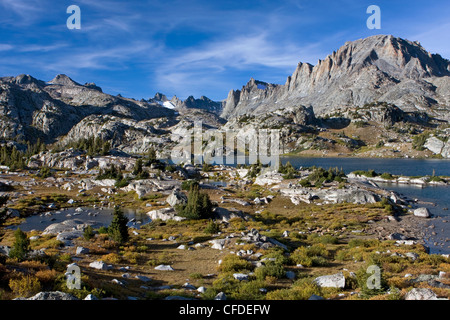 Sentiero per Titcomb bacino, Wind River Range, Wyoming, Stati Uniti d'America Foto Stock