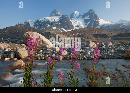 Sentiero per Titcomb bacino, Wind River Range, Wyoming, Stati Uniti d'America Foto Stock