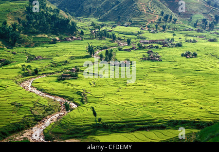 I campi di riso nella regione di Sapa, Vietnam del Nord, Vietnam, Indocina, Asia sud-orientale, Asia Foto Stock