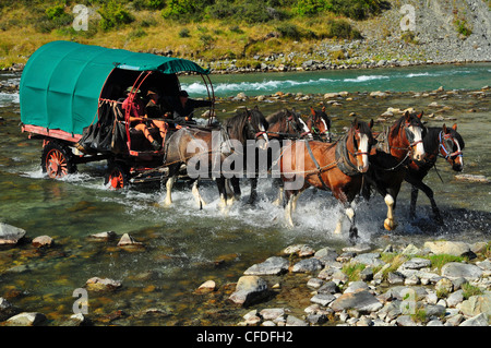 Uomini a cavallo e carro, Ahuriri River, Isola del Sud, Nuova Zelanda Foto Stock