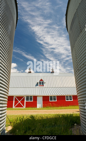 Primo piano dei contenitori del cereale con granaio rosso sullo sfondo vicino a Torquay, Saskatchewan, Canada Foto Stock