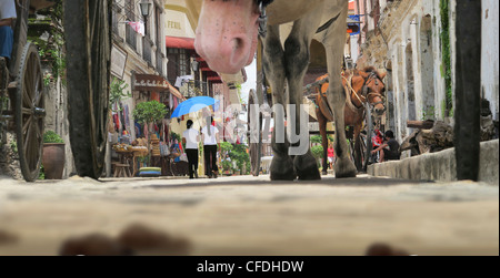 Sezione bassa di un horsecart in Vigan, uno spagnolo città coloniale in Ilocos, Vigan, isola di Luzon, Filippine, Asia Foto Stock