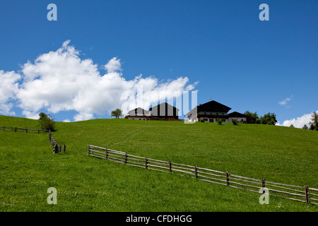 Pascoli e agriturismi in Nova Ponente borgo della provincia di Bolzano, Alto Adige, Italia, Europa Foto Stock