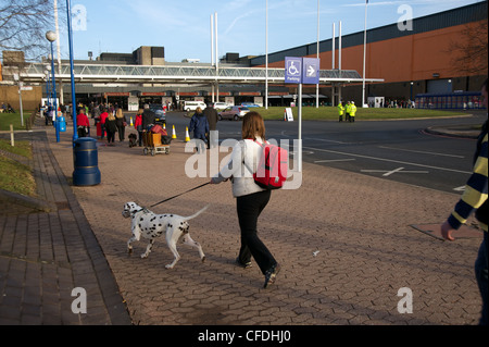 Il Crufts dog show 2011 Foto Stock