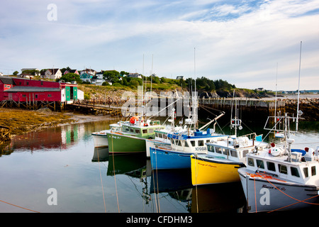 Barche da pesca legato fino al molo, Cape Santa Maria la Nova Scotia, Canada Foto Stock