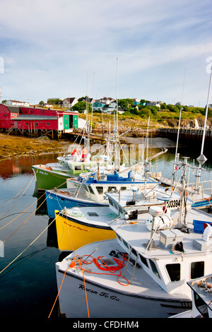 Barche da pesca legato fino al molo, Cape Santa Maria la Nova Scotia, Canada Foto Stock