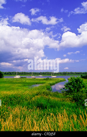 Barche a vela ancorata, Gagetown, fiume Saint John, New Brunswick, Canada Foto Stock